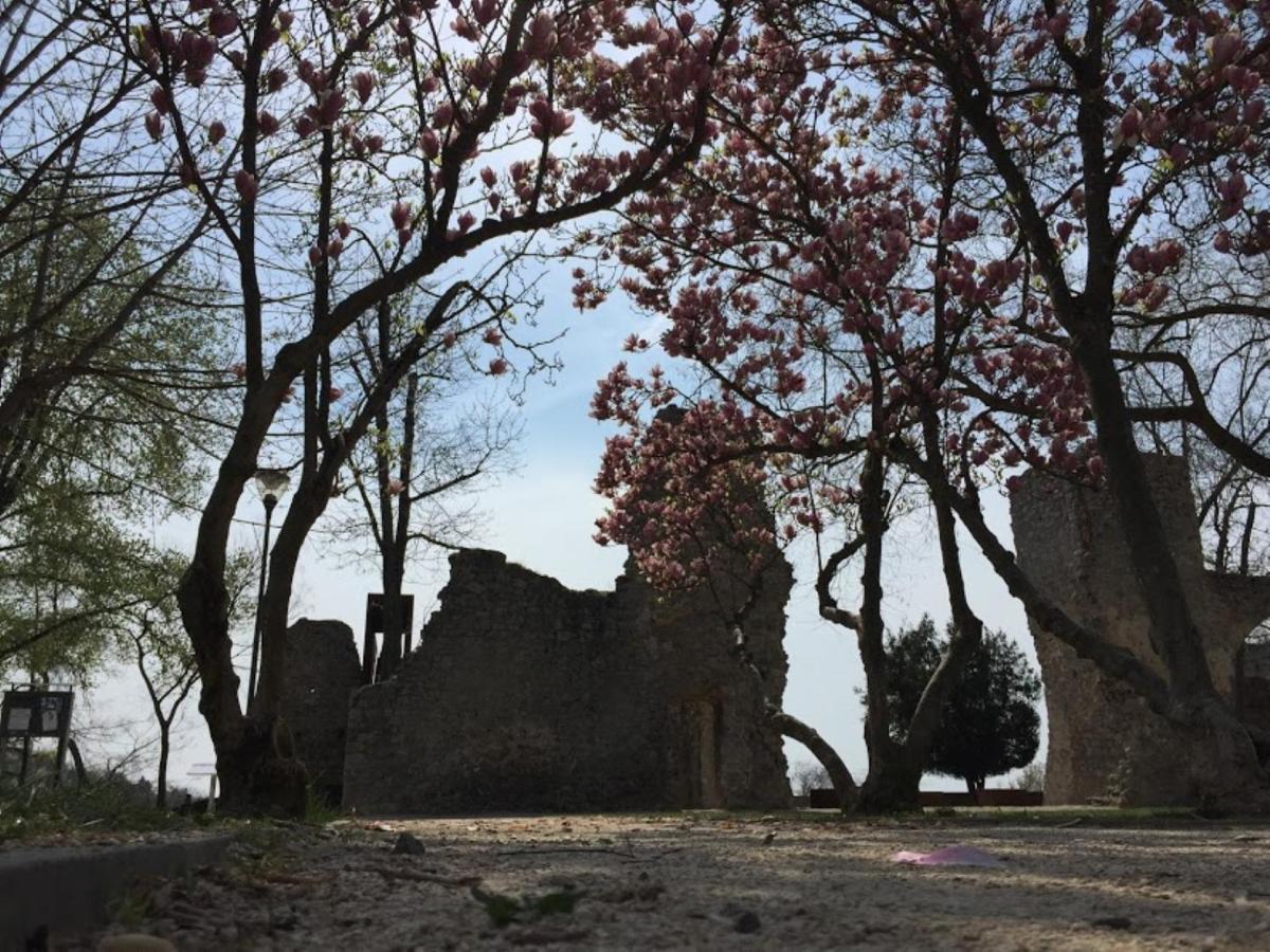 Feherhaz Alkalmi Szallo Pécs Exterior photo